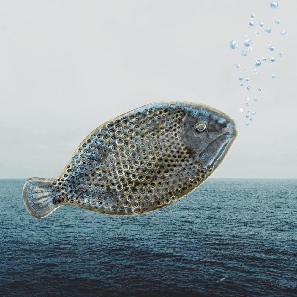 ✧ Excellent Condition ✧  ║  Fish Accent Tray